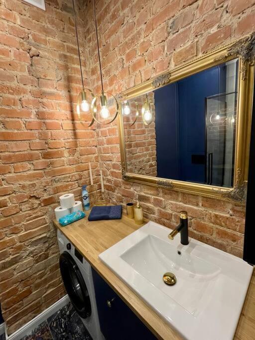 Luxury Apartment In Gliwice Near Town Square Exteriér fotografie